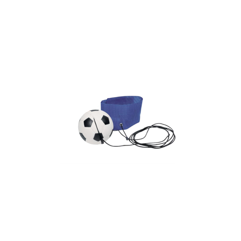 Pelota De Goma Con Cuerda